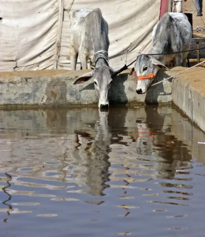 Photo of Pushkar, India by Ahid Aadhu