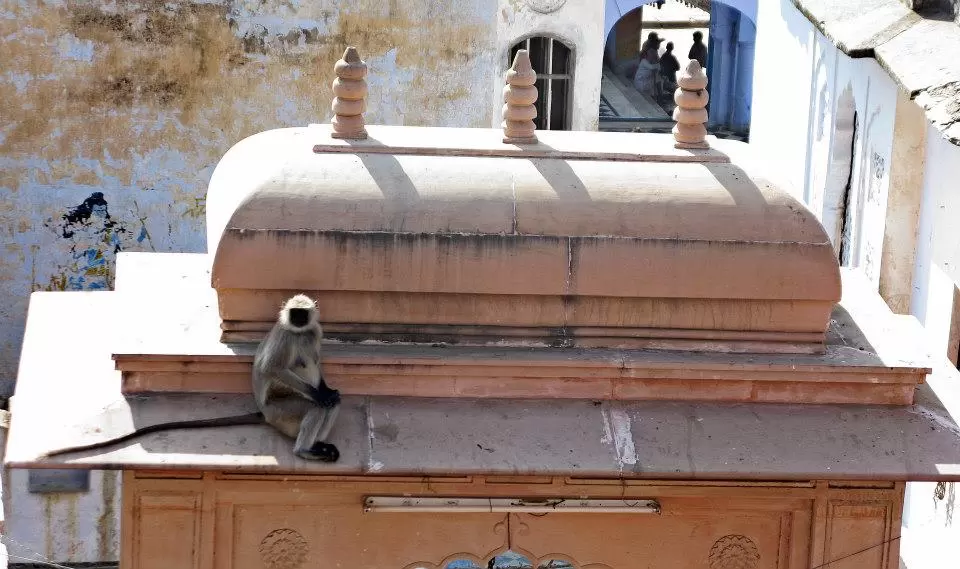 Photo of Pushkar, India by Ahid Aadhu