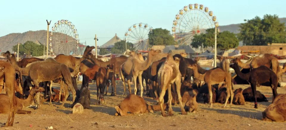 Photo of Pushkar, India by Ahid Aadhu