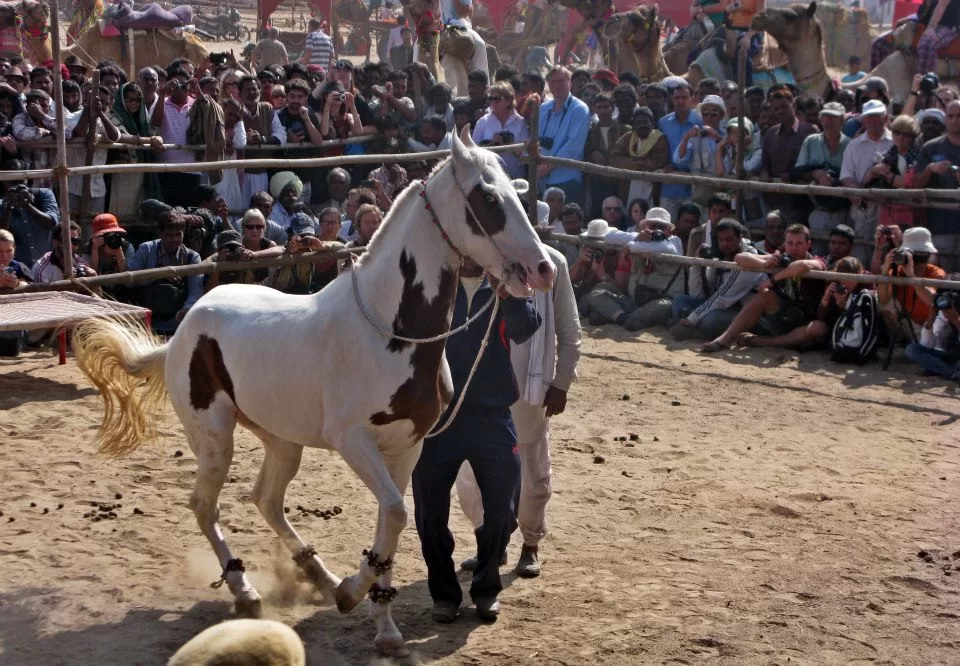 Photo of Pushkar, India by Ahid Aadhu