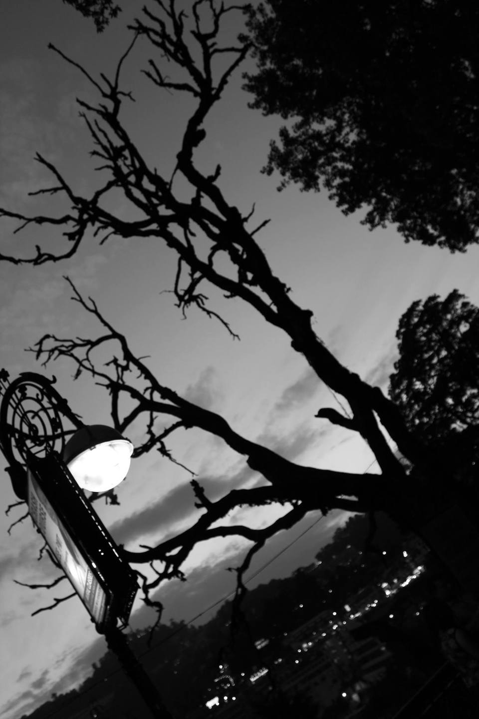 Photo of A First Explore of my Life- Sikkim | Darjeeling | Gangtok. 10/14 by Nitin Saxena