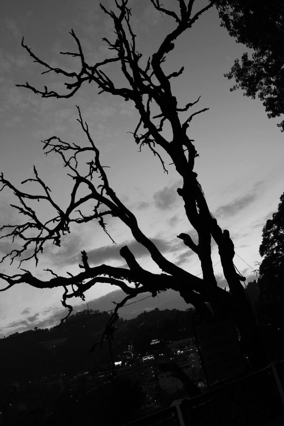 Photo of A First Explore of my Life- Sikkim | Darjeeling | Gangtok. 9/14 by Nitin Saxena