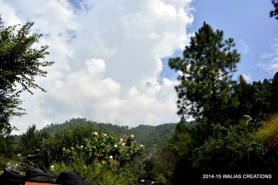 Photo of Bike trip to Mushiari by Harshit Walia