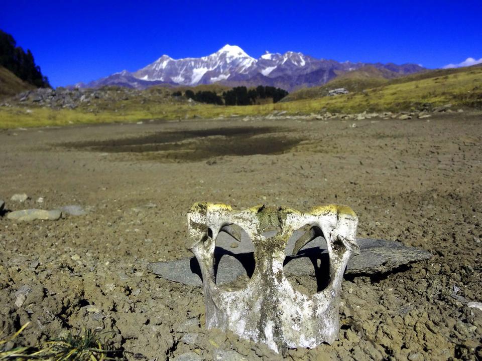 Photo of Dayara Bugyal with a Backpack and motorcycle 4/7 by Arjun Chauhan