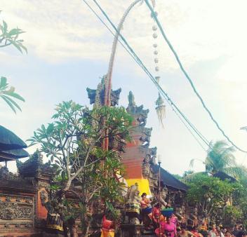 Photo of Bali 101 by charu rawat
