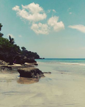 Photo of Bali 101 by charu rawat