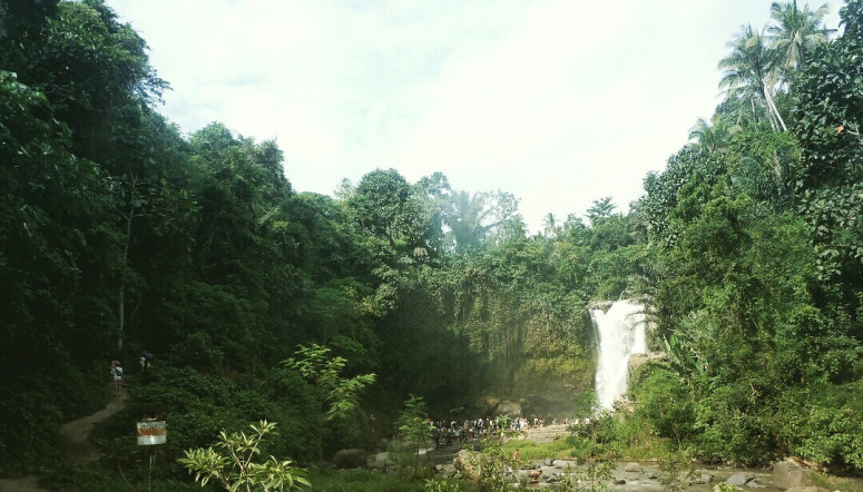 Photo of Eat,See,Experience and fall in love with Ubud 4/26 by charu rawat