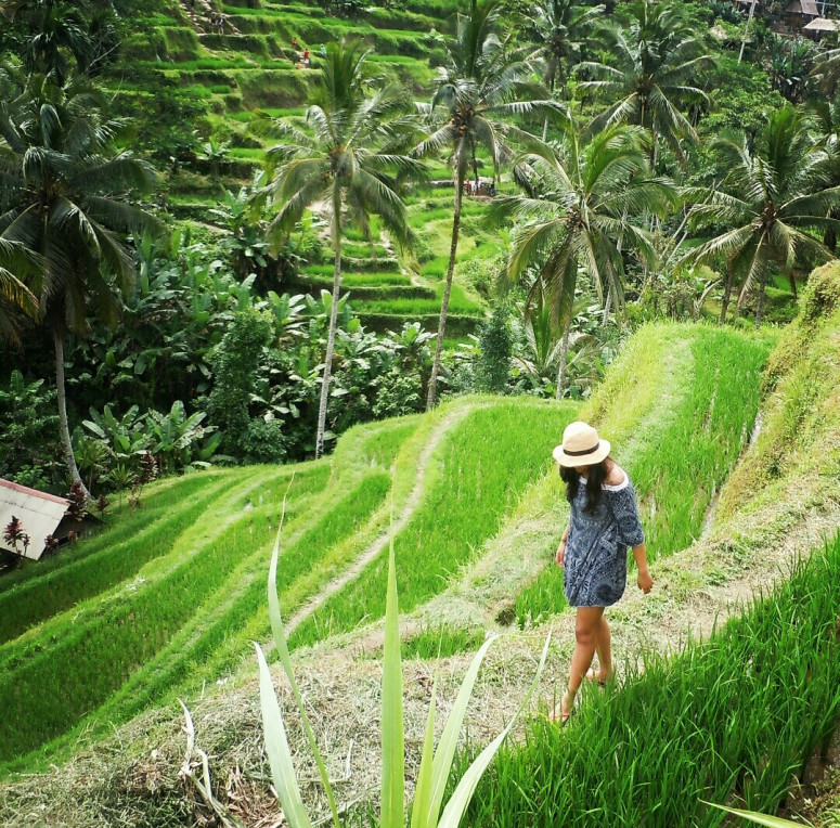 Photo of Eat,See,Experience and fall in love with Ubud 2/26 by charu rawat