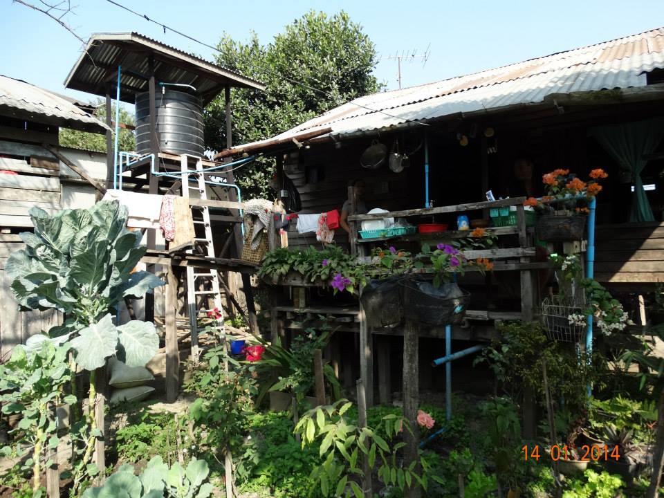 Photo of Our Burmese Days 4/17 by Somte Ralte