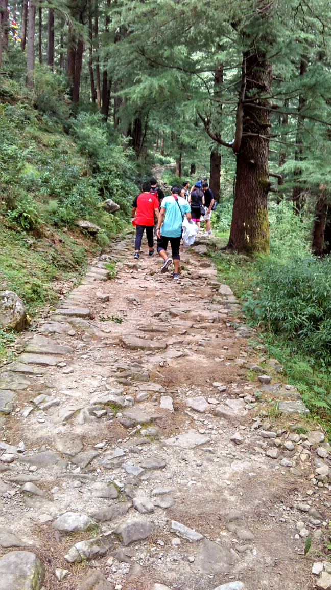 Photo of Trip To Triund by Pankaj Solanki