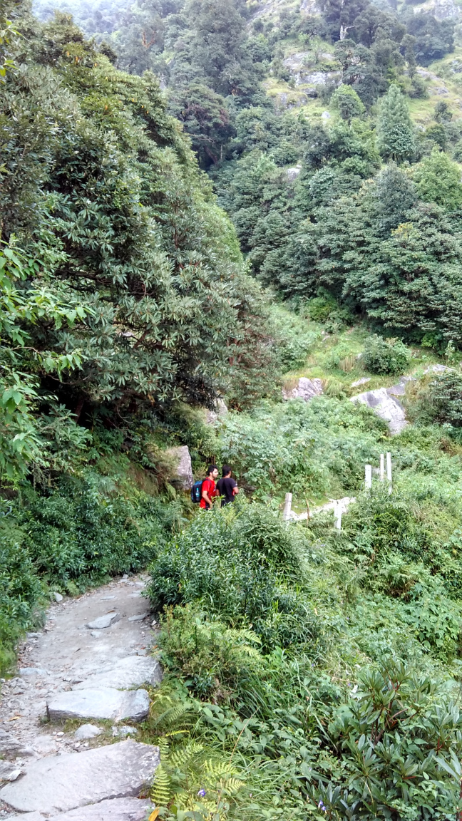 Photo of Trip To Triund by Pankaj Solanki