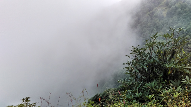 Photo of Trip To Triund by Pankaj Solanki