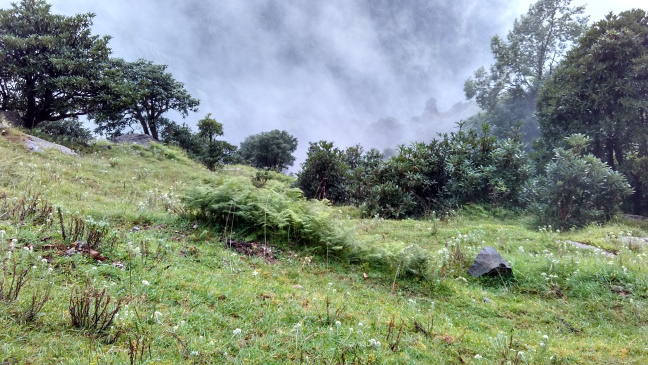 Photo of Trip To Triund by Pankaj Solanki