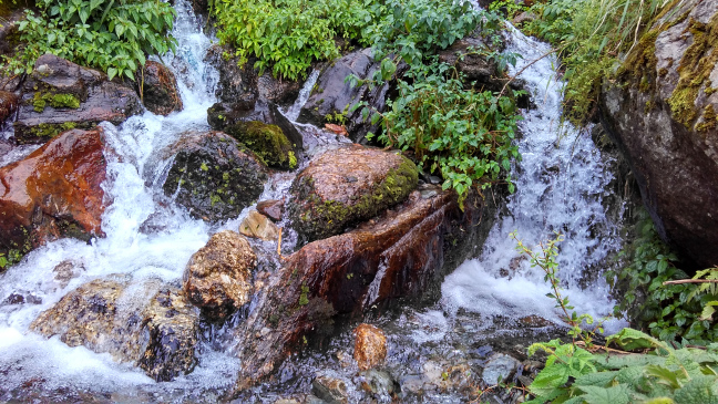 Photo of Trip To Triund by Pankaj Solanki