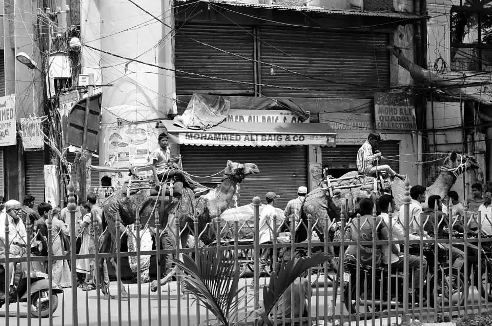 Photo of Hyderabad by Anindita Das