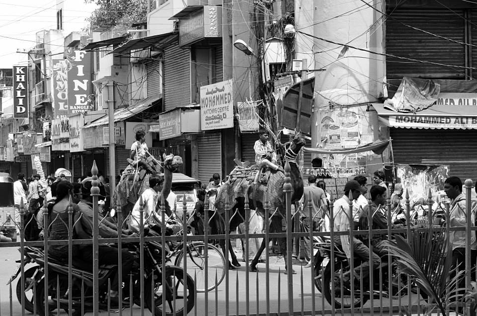 Photo of Folk tales from Hyderabad by Anindita Das