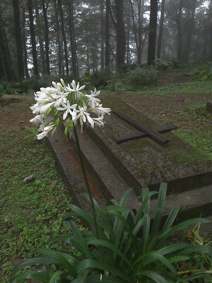 Photo of Dharamshala Diaries 5/14 by Amrita Brahmo