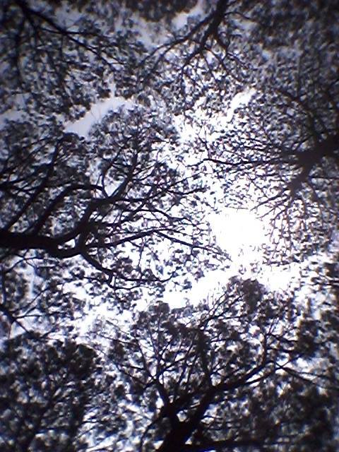 Photo of Dharamshala Diaries 13/14 by Amrita Brahmo