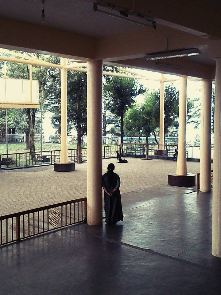 Photo of Dharamshala Diaries 8/14 by Amrita Brahmo
