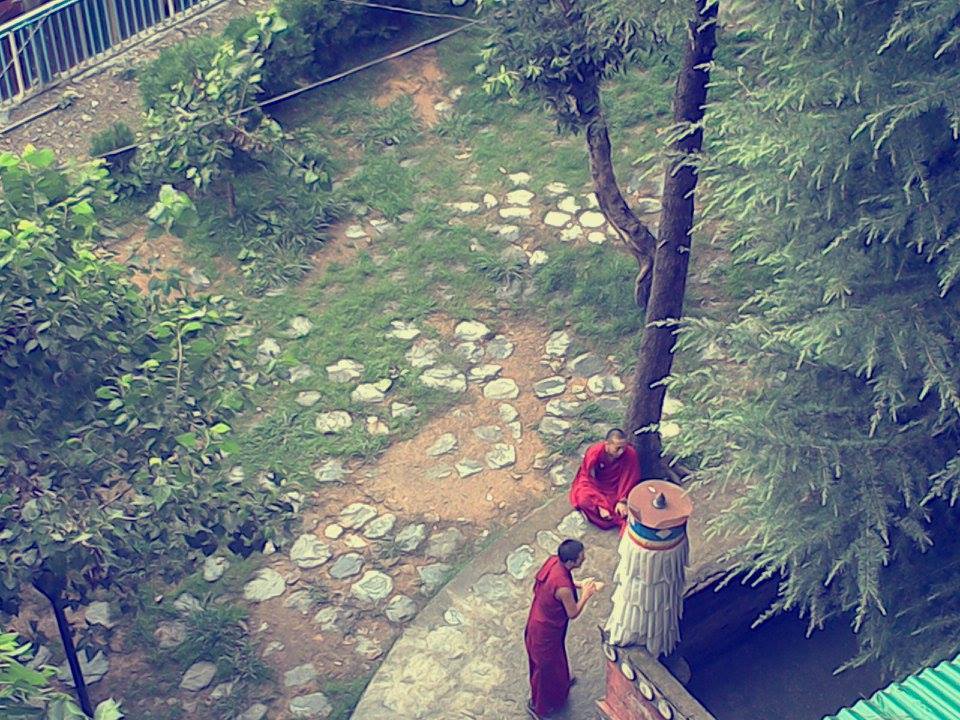 Photo of Dharamshala Diaries 9/14 by Amrita Brahmo