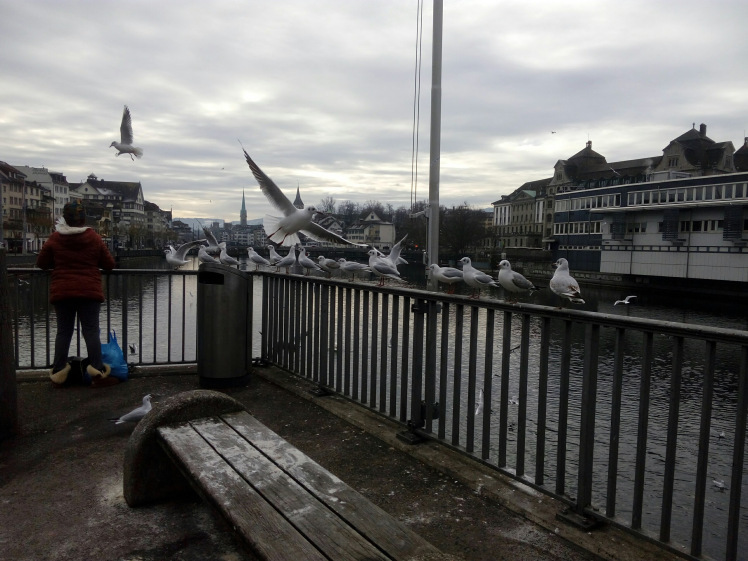 Photo of Davos and Zurich - Photo Blog 9/16 by sukanya.samy