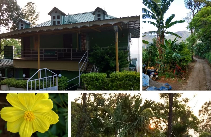 Photo of Nature Dale Plantation Villa.Munnar, Munnar, Kerala, India by Splendid Traveler