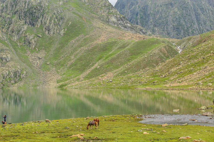 Photo of Kashmir Great Lakes Trek: The Spectacular Beauty 4/11 by Yogini Patil