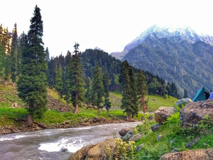 Photo of Kashmir Great Lakes Trek: The Spectacular Beauty 1/11 by Yogini Patil