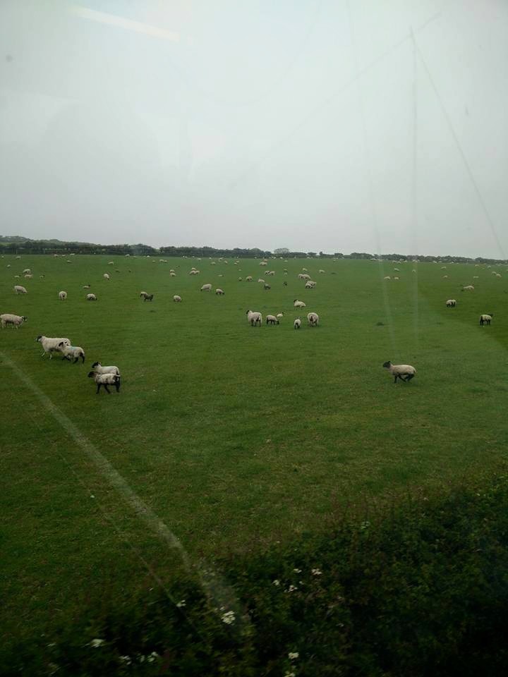 Photo of England 27/39 by Shruti Sidhan