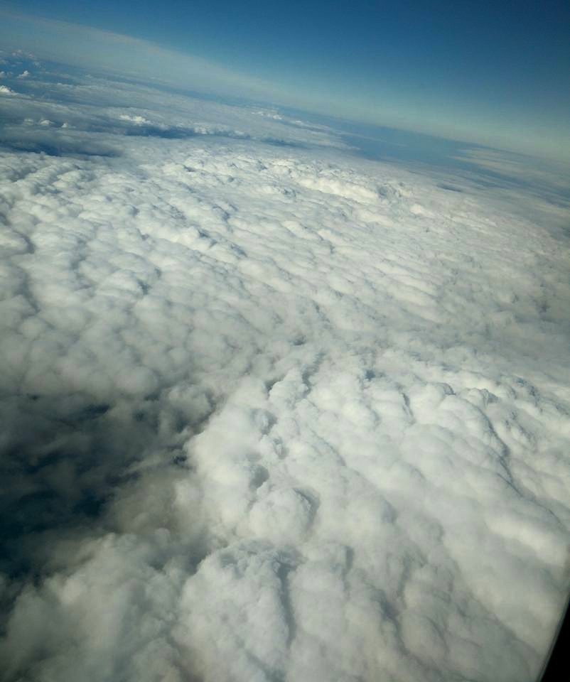 Photo of England 13/39 by Shruti Sidhan