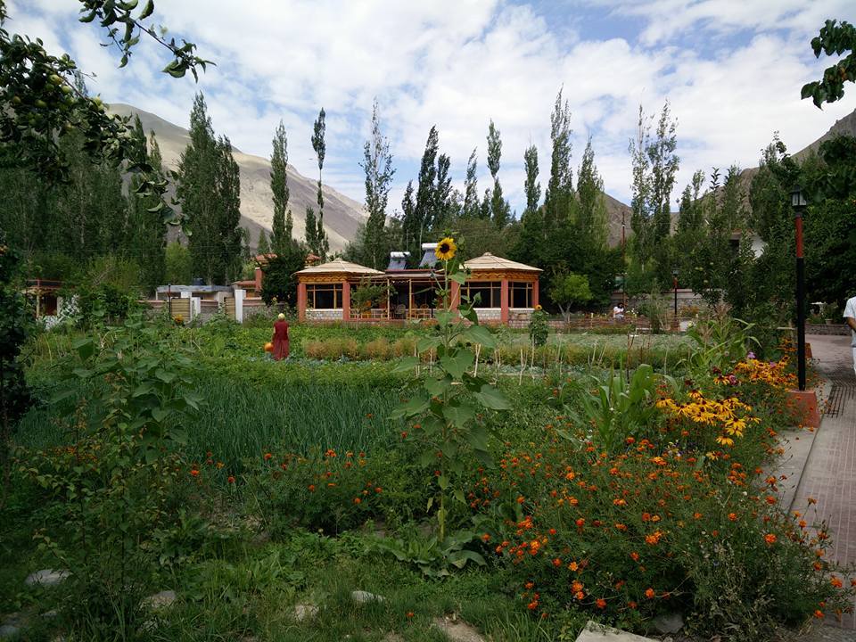 Photo of Leh Ladakh 52/55 by Shruti Sidhan