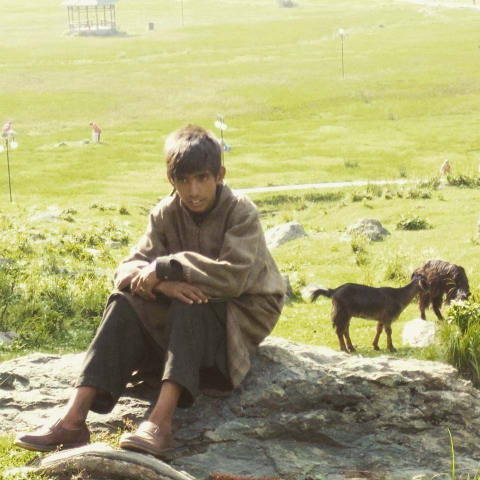 Photo of Kashmir – A traveller's dream 16/46 by Shruti Sidhan