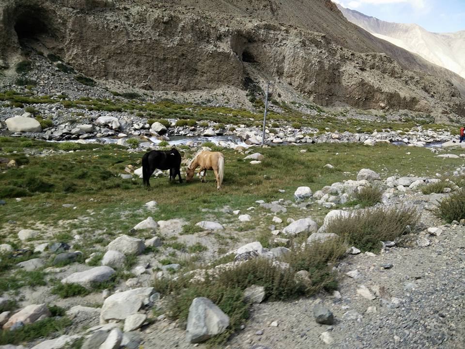 Photo of Leh Ladakh 40/55 by Shruti Sidhan