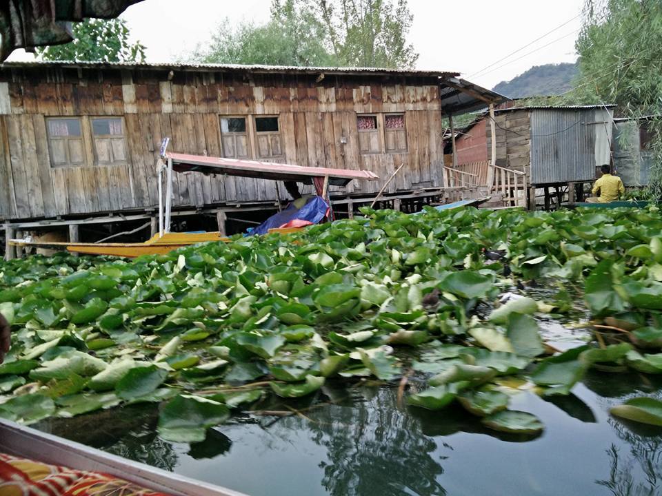 Photo of Kashmir – A traveller's dream 6/46 by Shruti Sidhan
