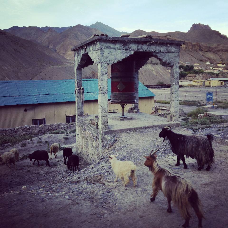 Photo of Leh Ladakh 11/55 by Shruti Sidhan