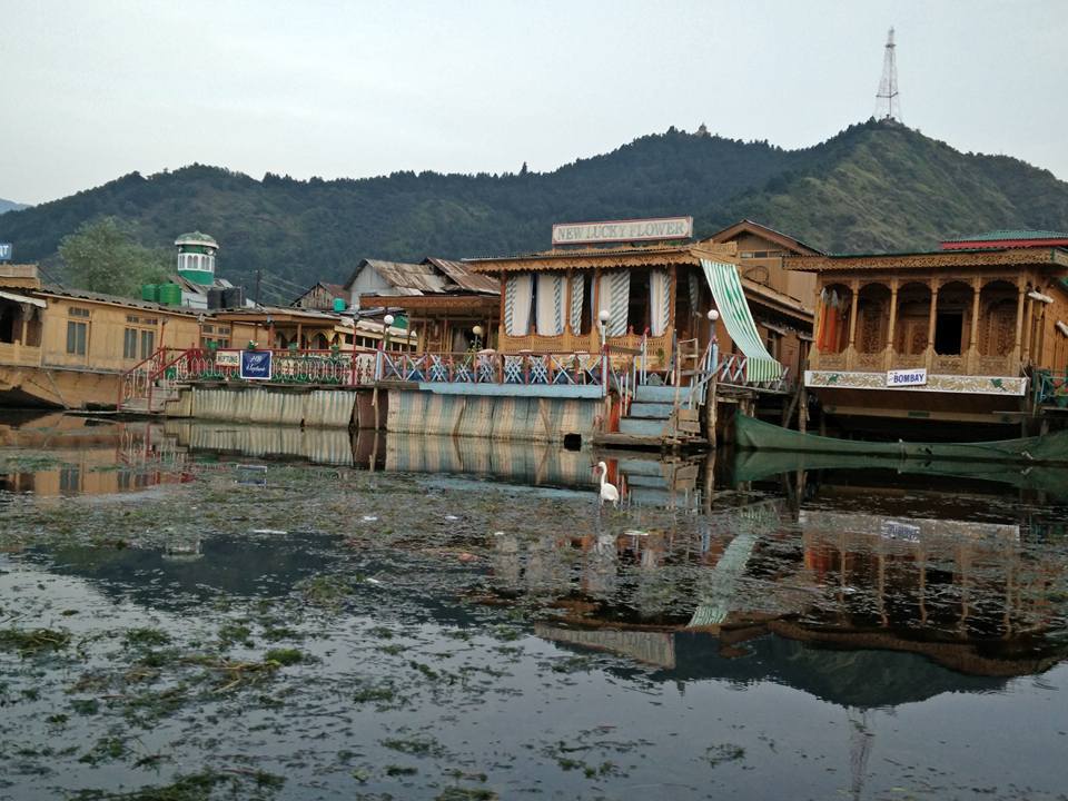 Photo of Kashmir – A traveller's dream 3/46 by Shruti Sidhan