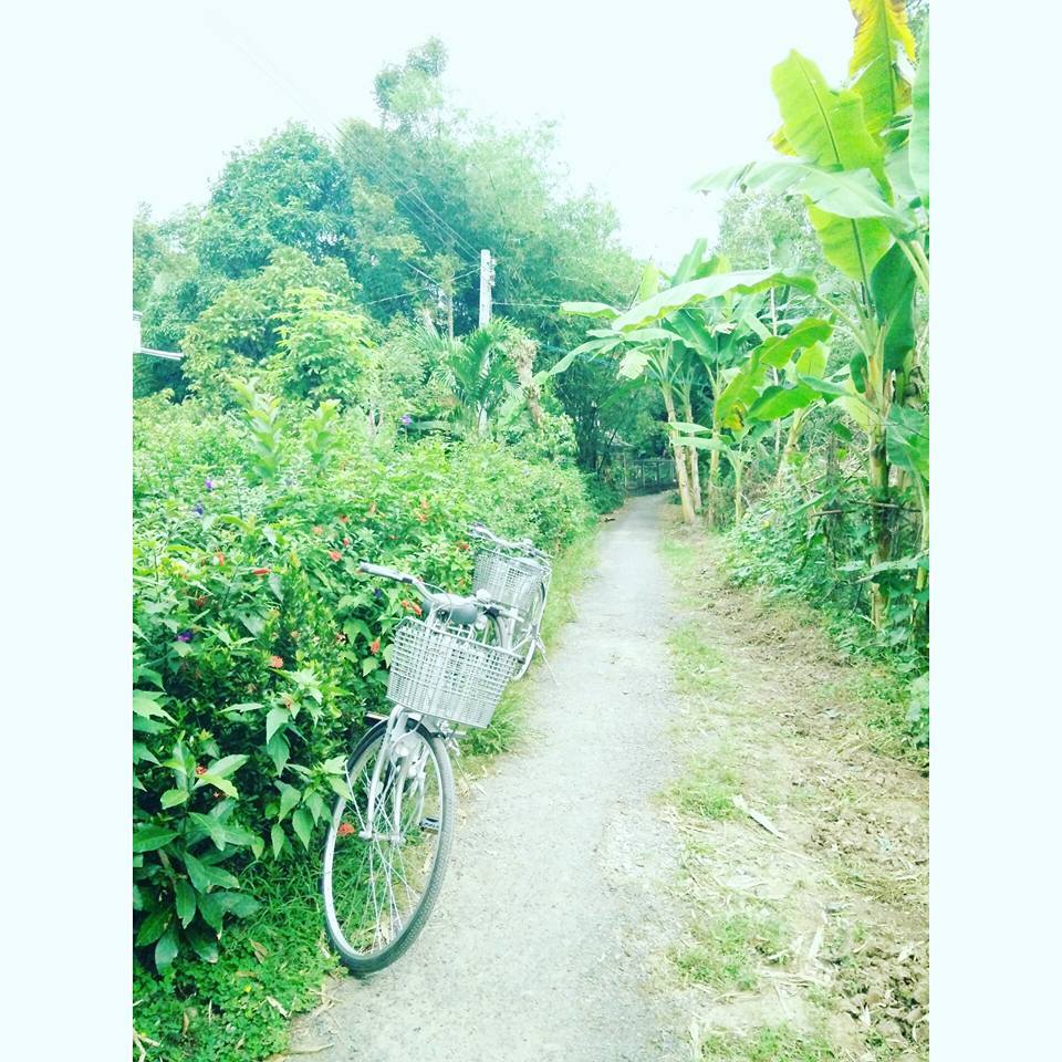 Photo of Vietnam-A southern delight 28/52 by Shruti Sidhan