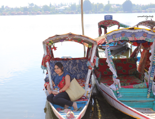 Photo of Srinagar by Astha Gupta