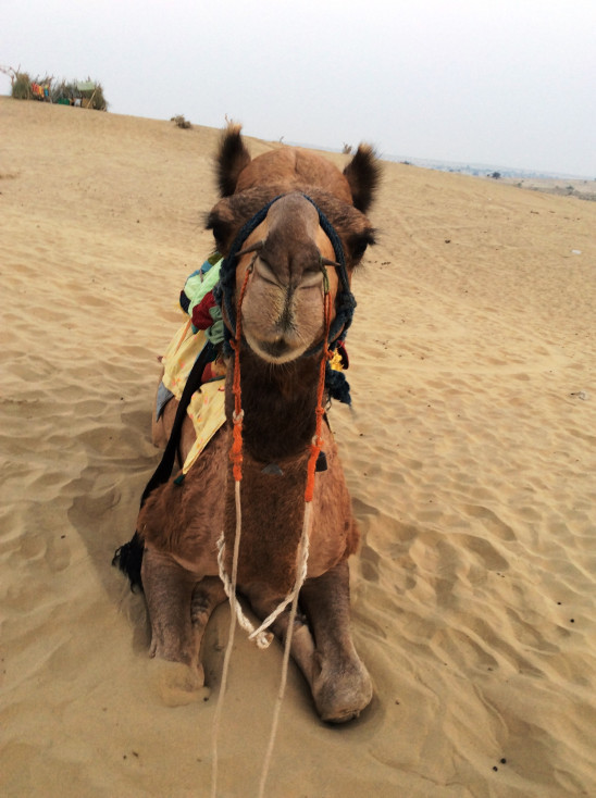 Photo of Spellbound memories at Golden city Jaisalmer by Pamela Mukherjee