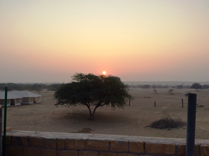 Photo of Spellbound memories at Golden city Jaisalmer by Pamela Mukherjee