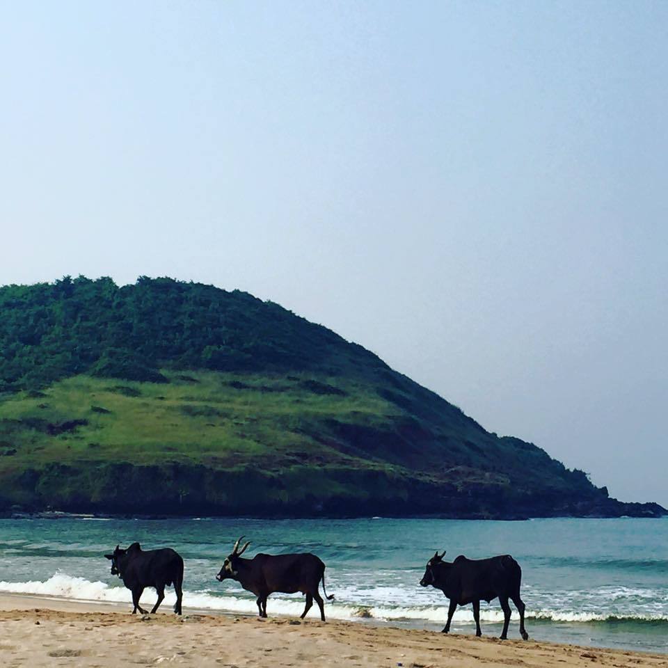 Photo of Beach Trippin' @ Ganpatipule, Ratnagiri 5/6 by rochels_diaries
