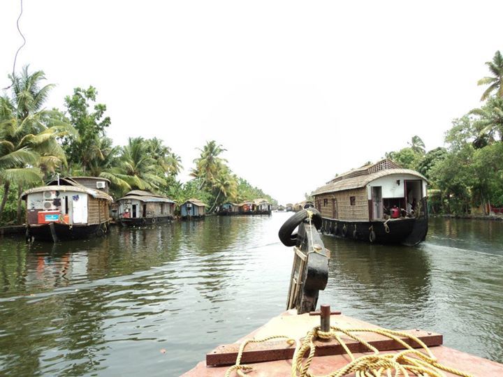 Photo of Things to do in Fort Kochi, Kerala 3/5 by rochels_diaries