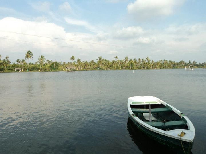 Photo of Things to do in Fort Kochi, Kerala 1/5 by rochels_diaries
