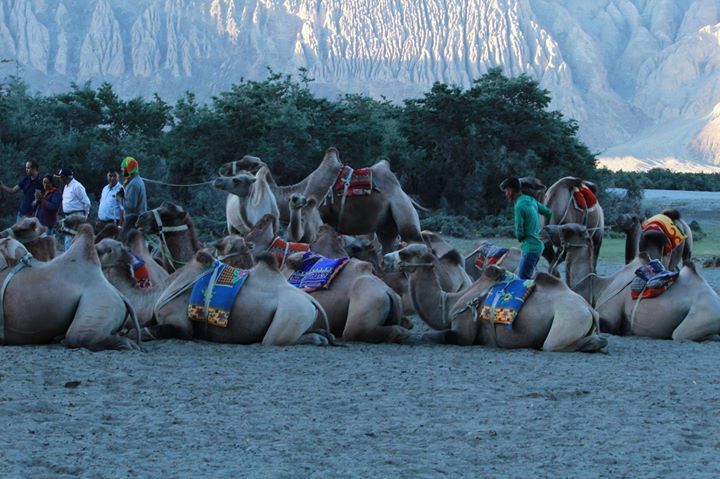 Photo of Jammu and Kashmir by Bhuvanesh Waran