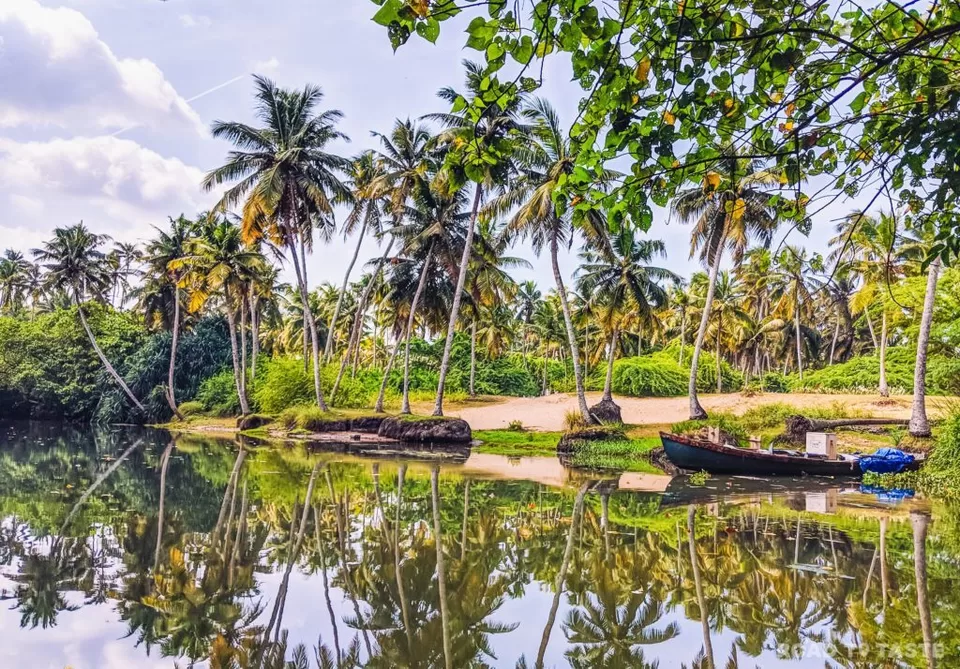 Photo of Poovar Backwaters, Poovar - Neyyatinkara Road, Kulathoor, Kerala, India by Road to Taste