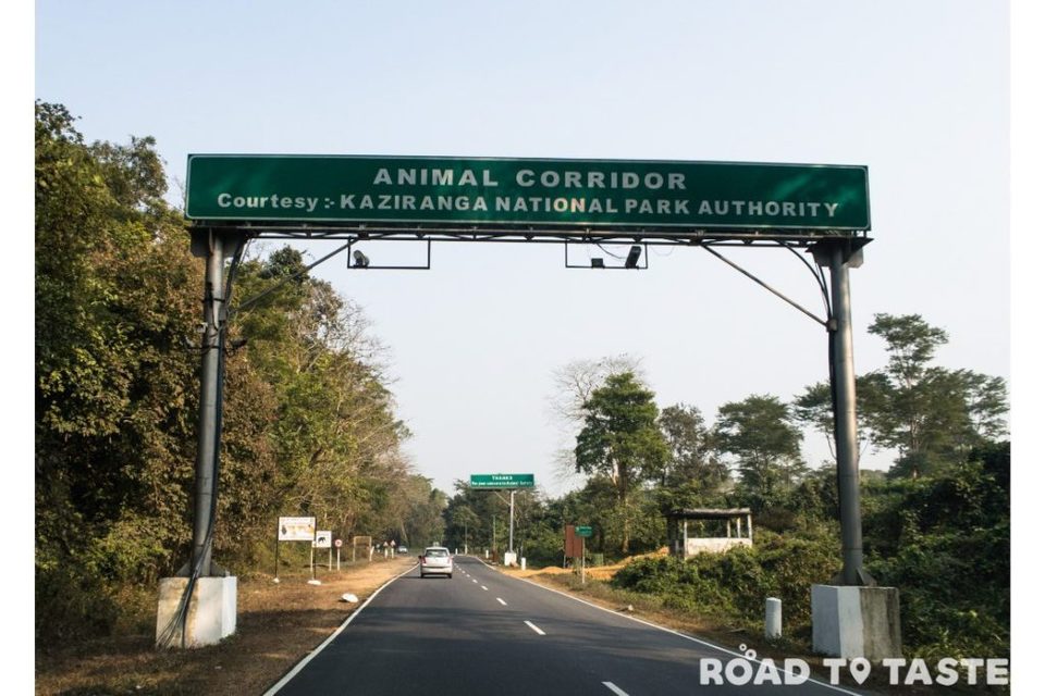 Photo of Kaziranga National Park, Kanchanjuri, Assam, India by Road to Taste