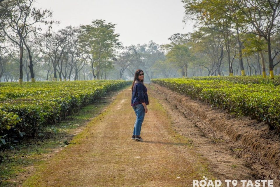 Photo of Assam Itinerary - Celebrating Rongali Festival with exploring Kaziranga and Majuli by Road to Taste
