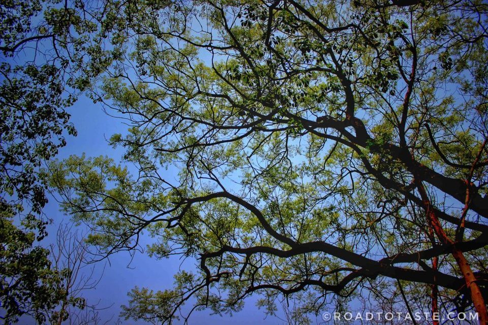 Photo of Bhuli Bhatiyari - A gem in the Ghost Stories of Delhi! - Road to Taste 4/9 by Road to Taste