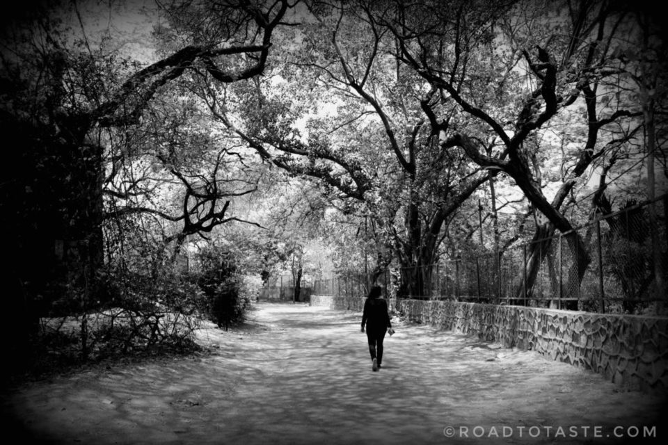 Photo of Bhuli Bhatiyari - A gem in the Ghost Stories of Delhi! - Road to Taste 9/9 by Road to Taste