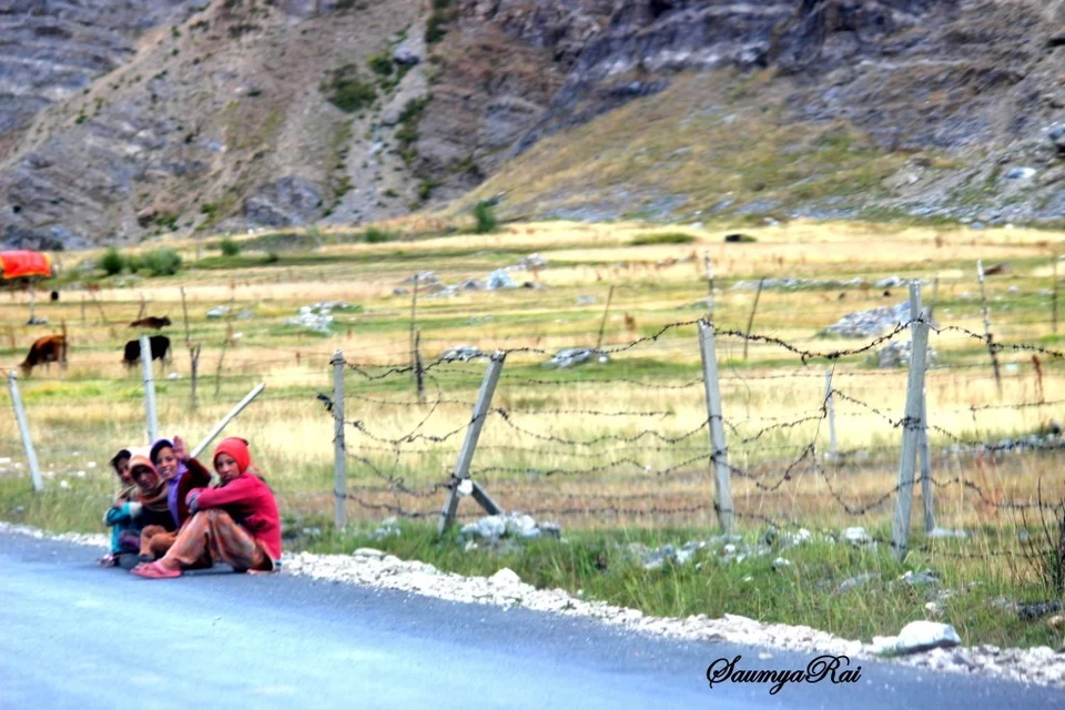 Photo of Bookmarks on the Srinagar-Leh Highway by Road to Taste